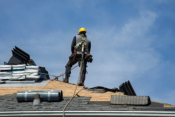 Professional Roof Repair technician working in Conrad, MT